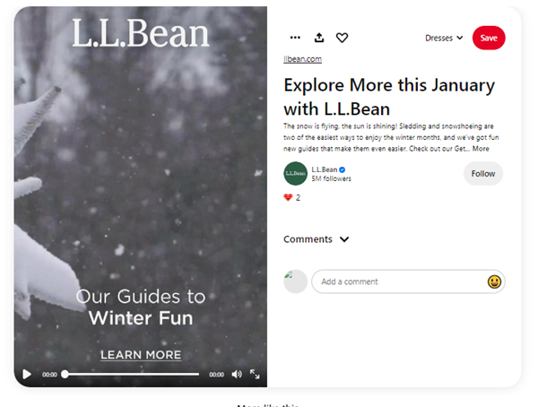 Video Pin on Pinterest example