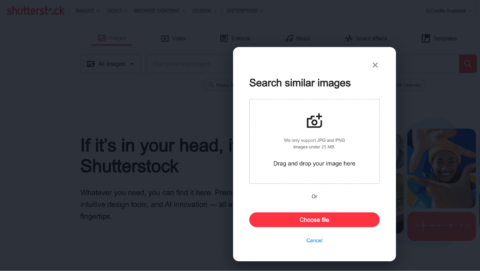 Captura de pantalla de “Buscar imágenes similares” Shutterstock